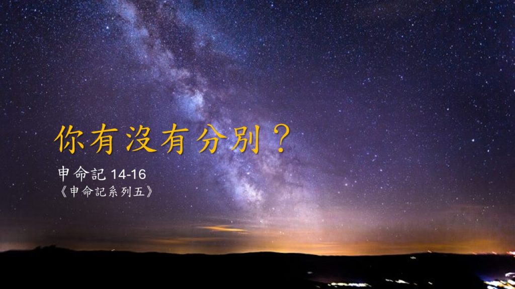 【粵語中字】你有沒有分別？（申 14-16）2026.02.01